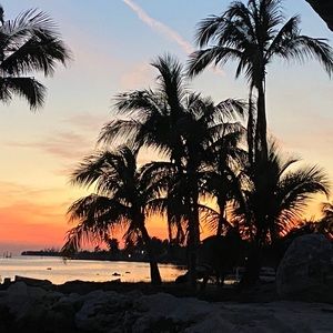 Meet your Posher, Ellie